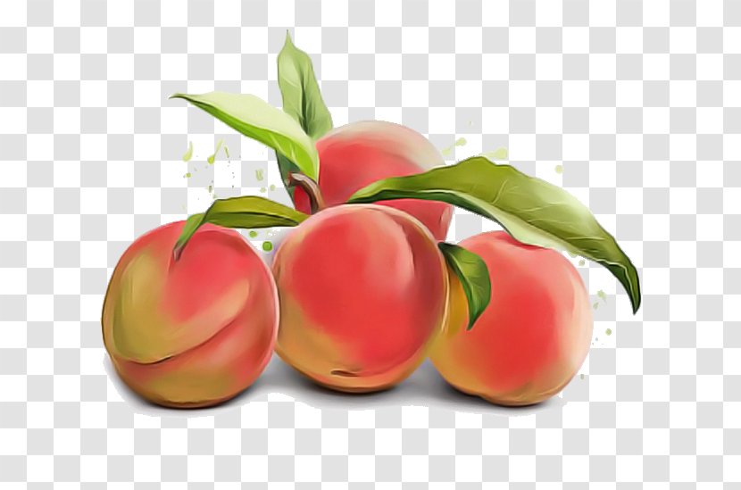 European Plum Peach Fruit Plant Nectarines - Flower Tree Transparent PNG