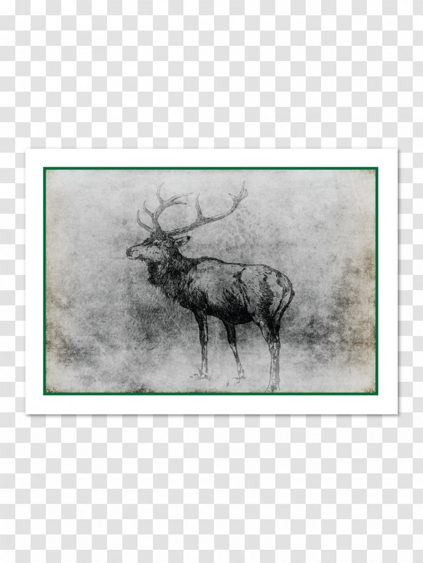 Reindeer Moose Cattle Antler Fauna Transparent PNG