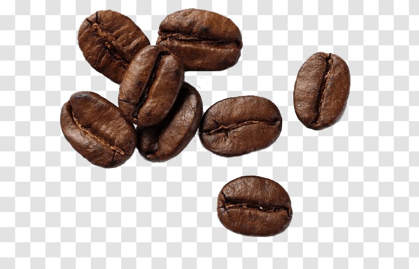 Coffee Bean Cafe Espresso Roasting Transparent PNG