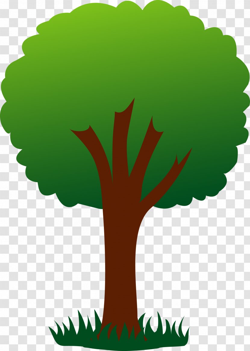 Tree Free Content Drawing Clip Art - Woody Plant - Cliparts Transparent PNG