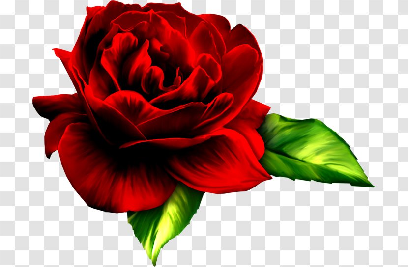 Rose Flower Clip Art - Bouquet Transparent PNG