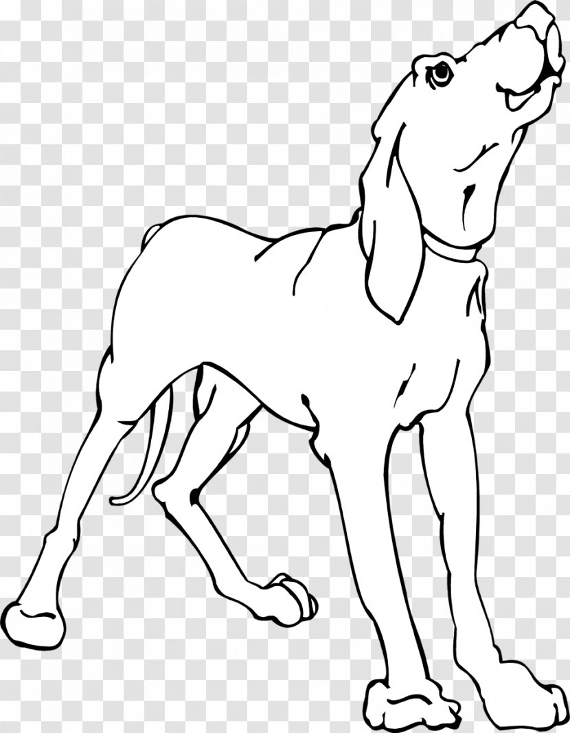 Redbone Coonhound Black And Tan Pet Vertebrate - Dog Like Mammal - Bone Transparent PNG