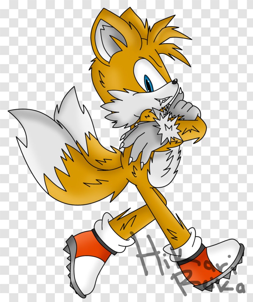 Tails Fox Sonic The Hedgehog Cat - Plant Transparent PNG