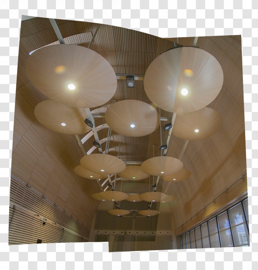 Chandelier Ceiling Daylighting - Light Fixture - Design Transparent PNG