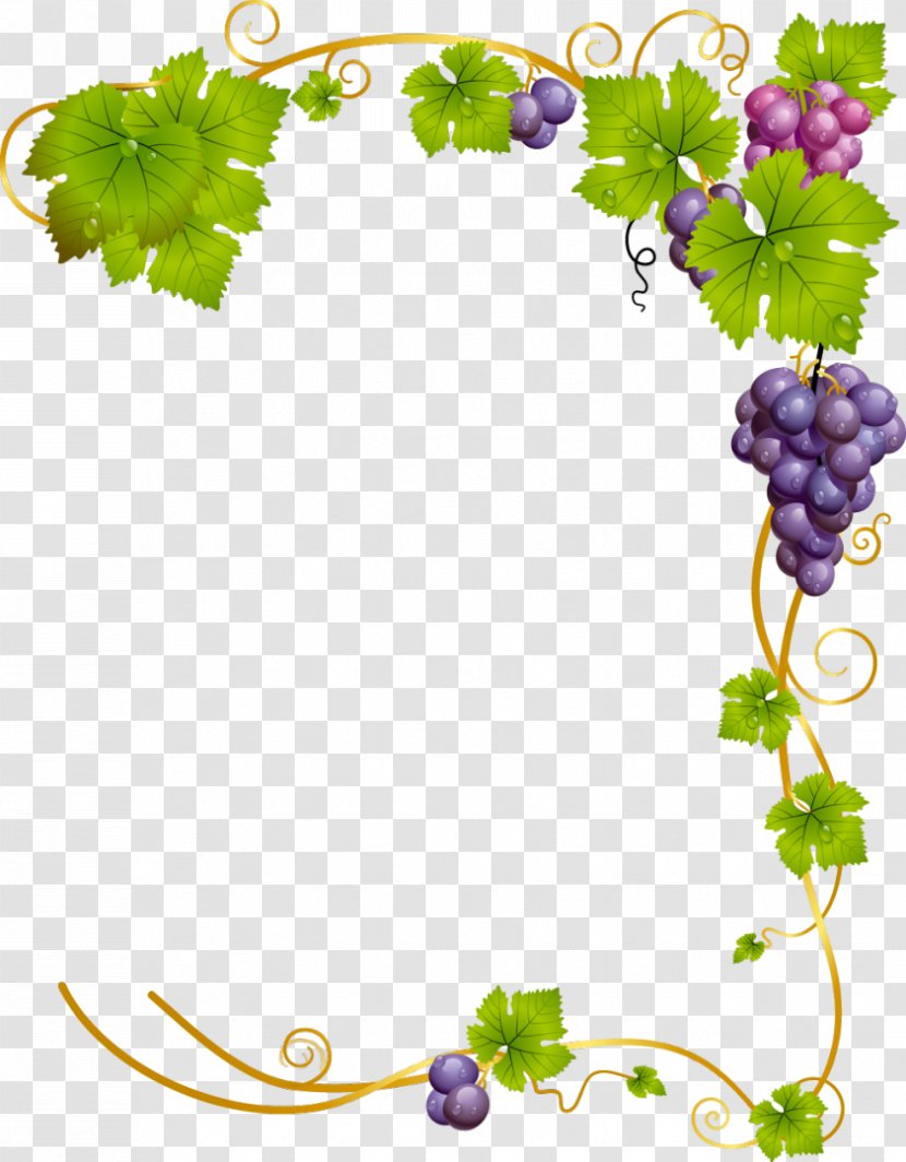 Common Grape Vine Wine - Grapevine Family - Green Frame Transparent PNG