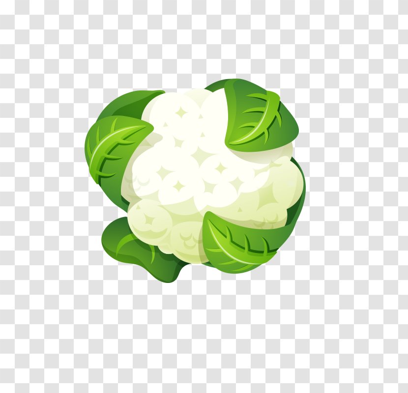 Cauliflower Broccoli Ingredient Food - Brassica Oleracea - Cartoon Transparent PNG