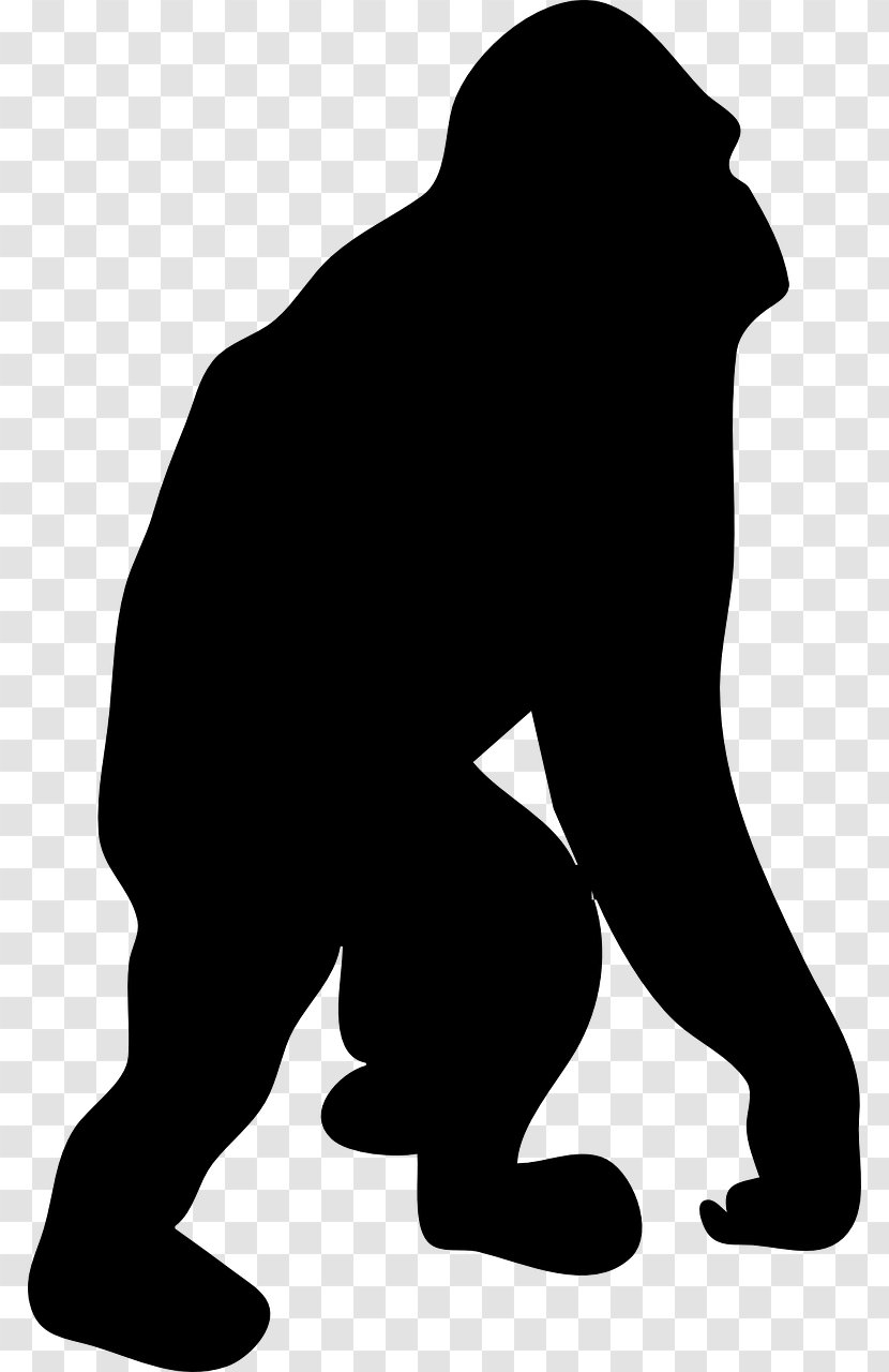 Ape Bonobo Drawing Clip Art - Mammal - Black Gorilla Transparent PNG