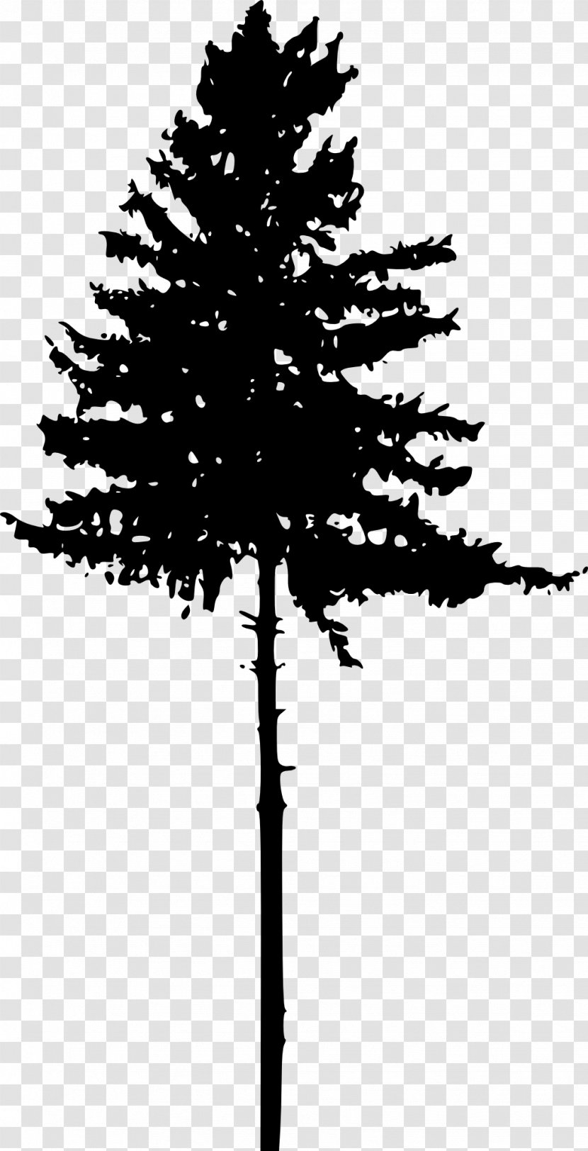 Tree Pine Silhouette Clip Art - Black And White Transparent PNG