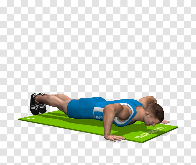 Pilates Plank Exercise Bench Press - Flower - Fly Transparent PNG
