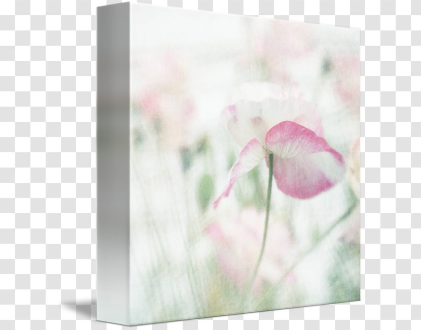 Petal Floral Design Pink M Flower Transparent PNG