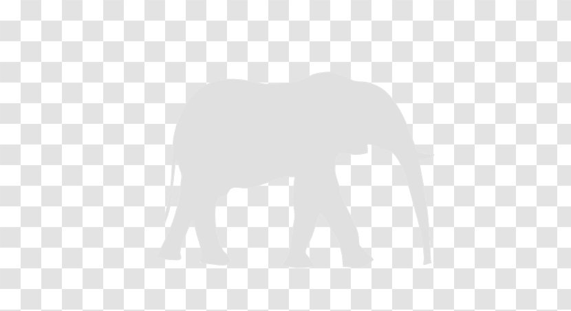 Indian Elephant African Silhouette 1 25 Magnet Mammal - Black And White - Gray Transparent PNG