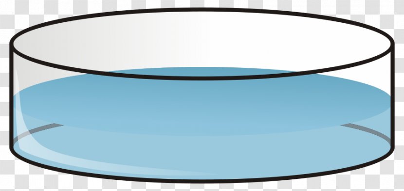 Petri Dishes Clip Art - Table - Dish Cliparts Transparent PNG
