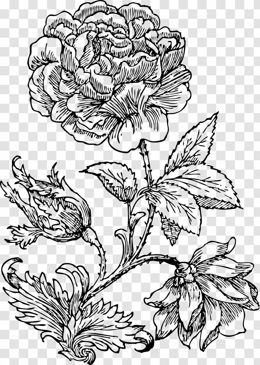 Floral Design Drawing Paper Clip Art - Chrysanths - Rose Transparent PNG