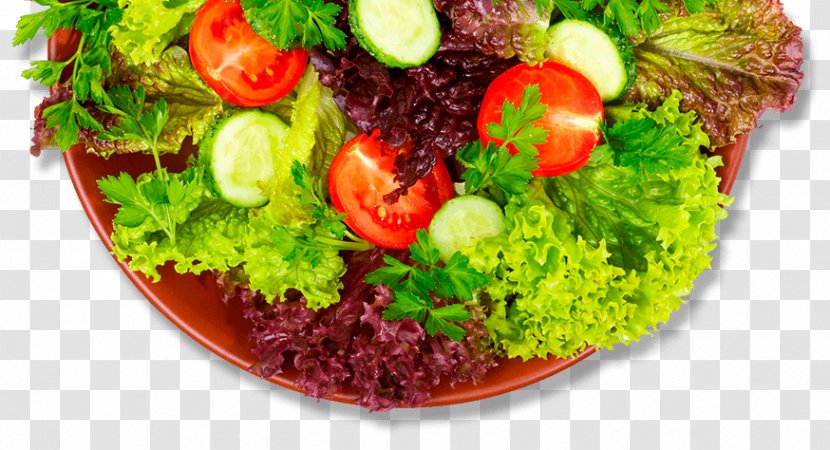 Hamburger Lettuce Recipe Salad Capitata Group - Mayonnaise Transparent PNG