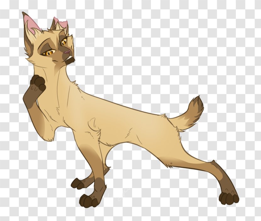 Whiskers Cat Warriors Character Leafpool - Drawing Transparent PNG