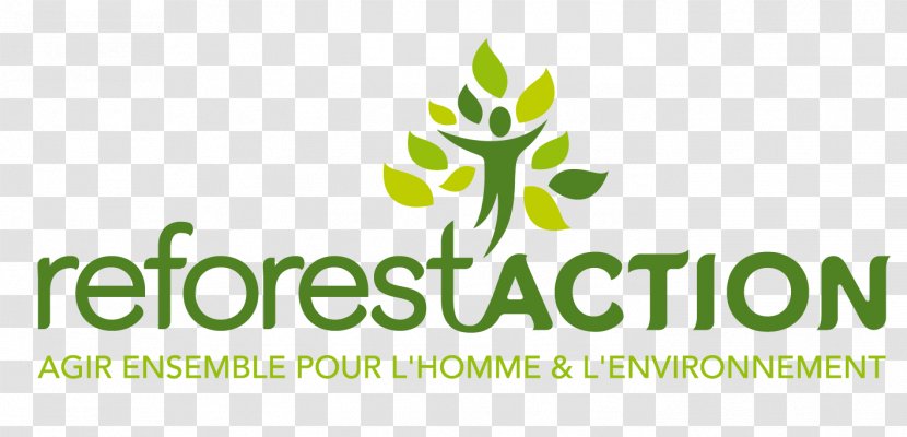 Reforestation Tree Planting Business Vala Marketing - Leaf Transparent PNG