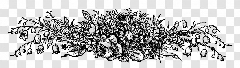 Line Art Floral Design Botany Clip - Monochrome - Rose Botanical Transparent PNG