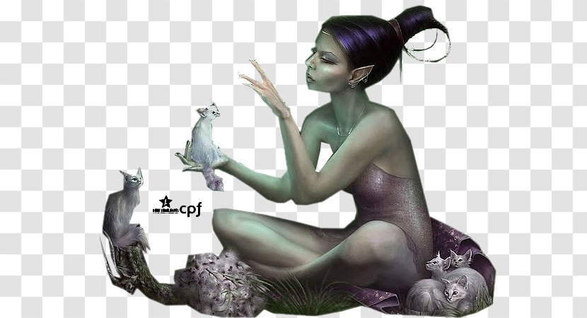 Elf Fairy Mermaid - Silhouette Transparent PNG