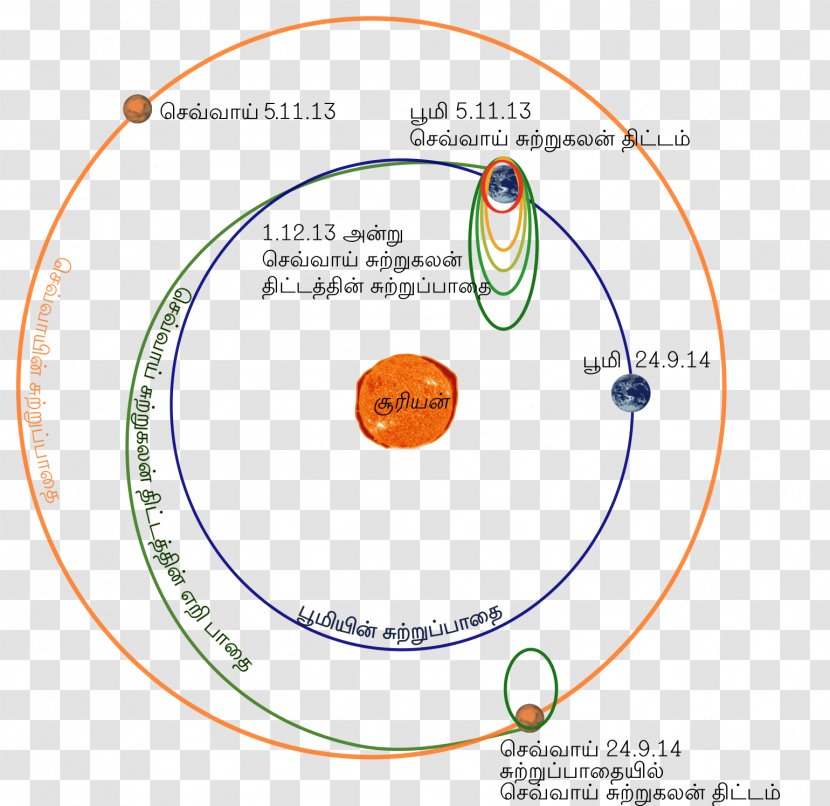 Graphics Diagram Circle Point Organism Transparent PNG