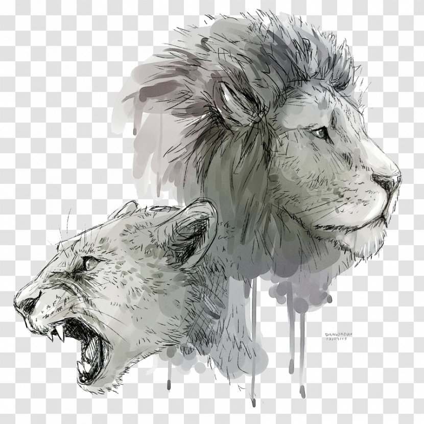 Lion's Roar Cat Drawing - Wildlife - Lion Transparent PNG