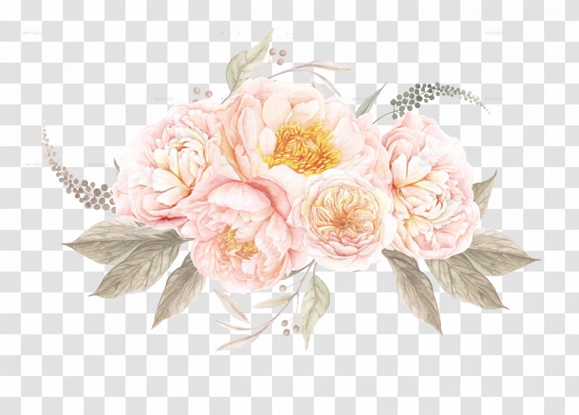 Flower Vintage Clothing Drawing Clip Art - Rose Family - Floral Transparent PNG