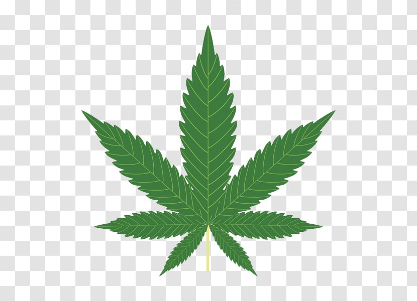 Cannabis Sativa Hemp Legalization Transparent PNG
