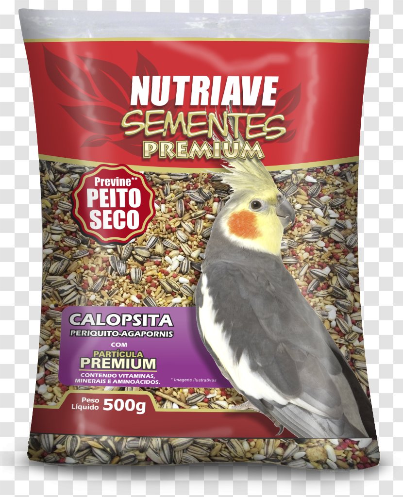 Atlantic Canary Passerine Bird Food Society Finch Pet Transparent PNG