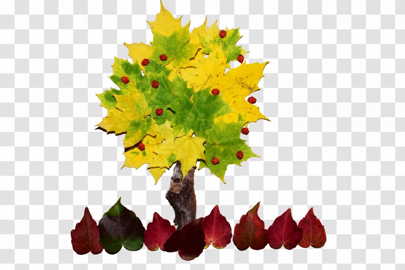 Leaf Tree Drawing Photomontage Photography - Monochrome Painting - Autumn Leaves Transparent PNG