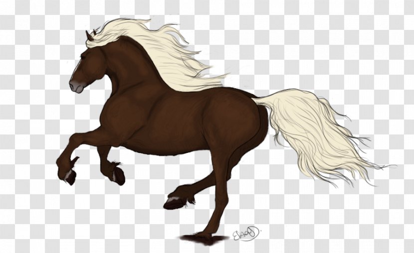 Mane Pony Mustang Rein Stallion - Horse Tack Transparent PNG