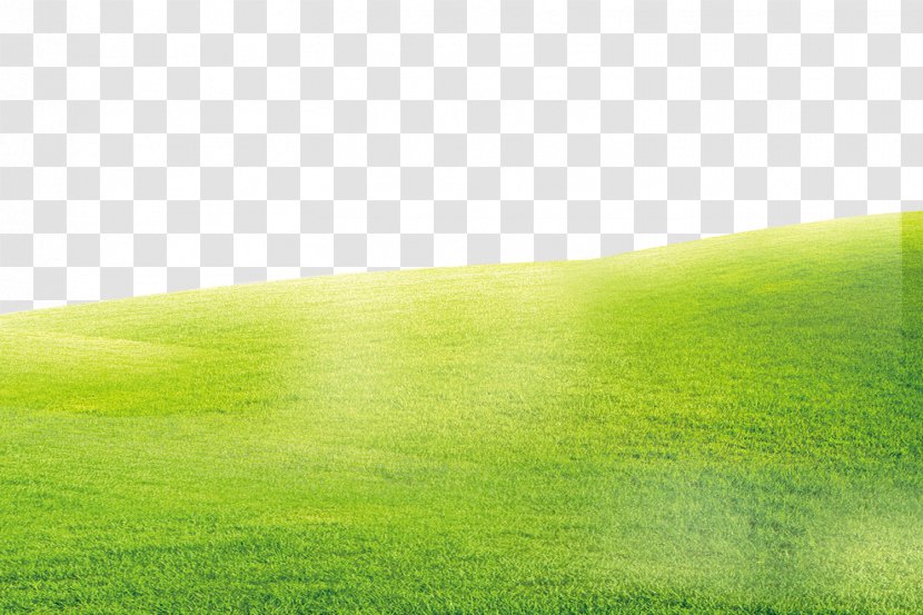 Green Grass Background - Sky - Family Transparent PNG