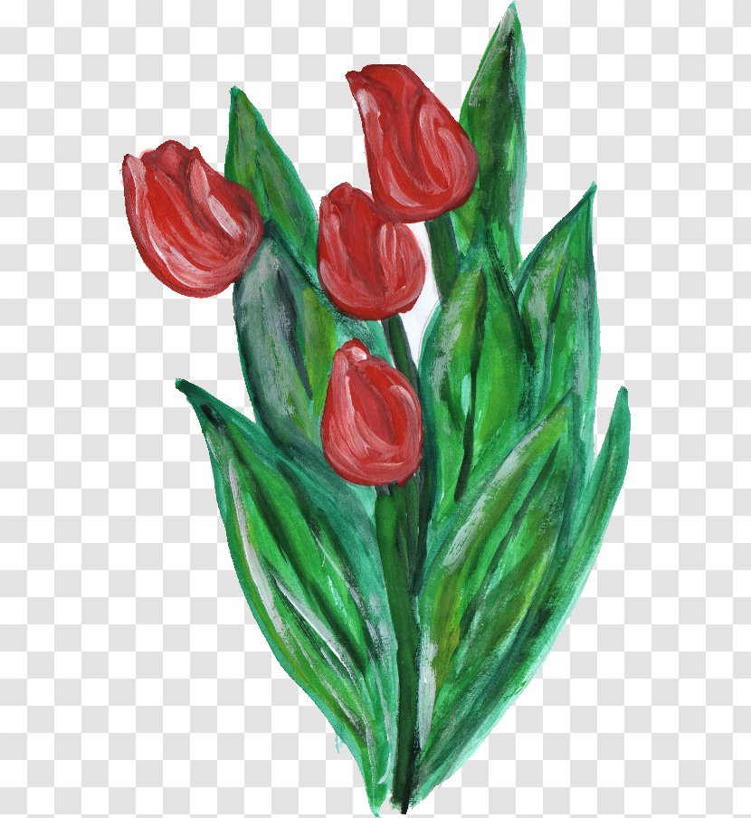 Flowering Plant Cut Flowers Tulip Liliaceae - Lily Family - Flower Paint Transparent PNG