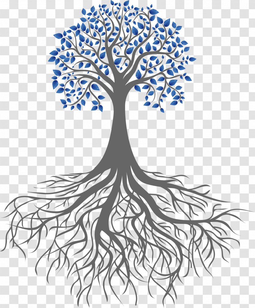 Root Clip Art Tree Branch - Fibrous System Transparent PNG