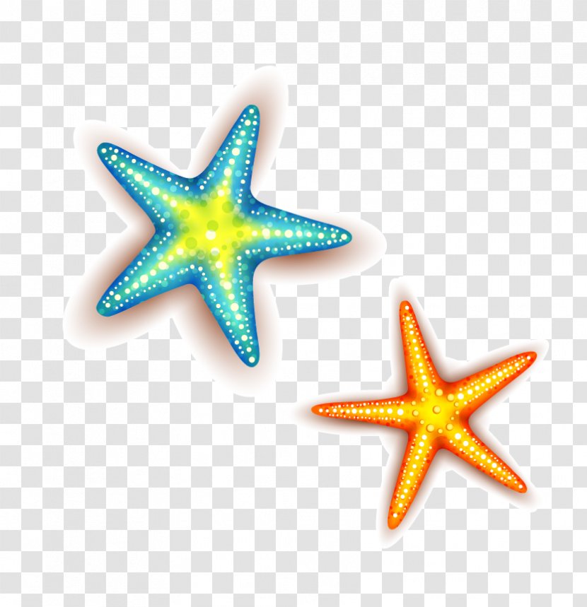 Euclidean Vector - Star - Starfish Transparent PNG