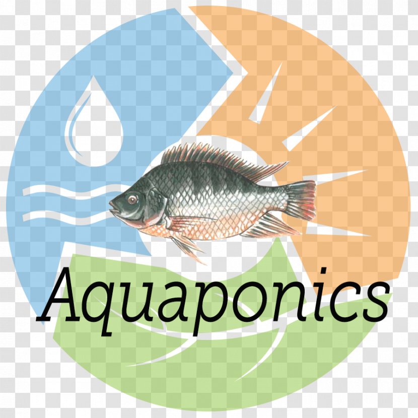 Logo Fauna Brand Scrum Font - Fish - Urban Farm Transparent PNG