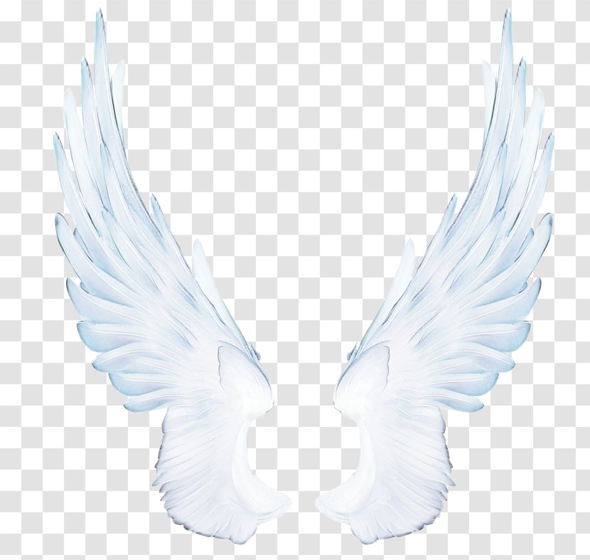Angel Cartoon - Archangel - Fictional Character Feather Transparent PNG