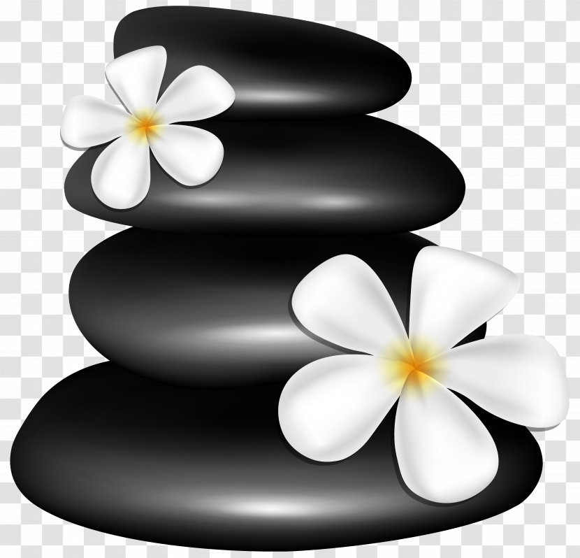 Spa Stock Photography Clip Art - Flower - Frangipani Transparent PNG