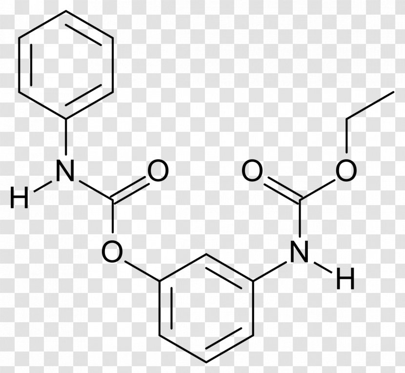 Enobosarm Selective Androgen Receptor Modulator N-Phenylacetyl-L-prolylglycine Ethyl Ester Nootropic Brifentanil - Technology Transparent PNG