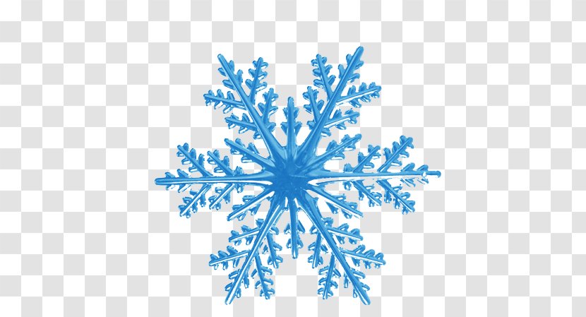 Snowflake Euclidean Vector Shape Hexagon - Blue Ice Pattern Transparent PNG
