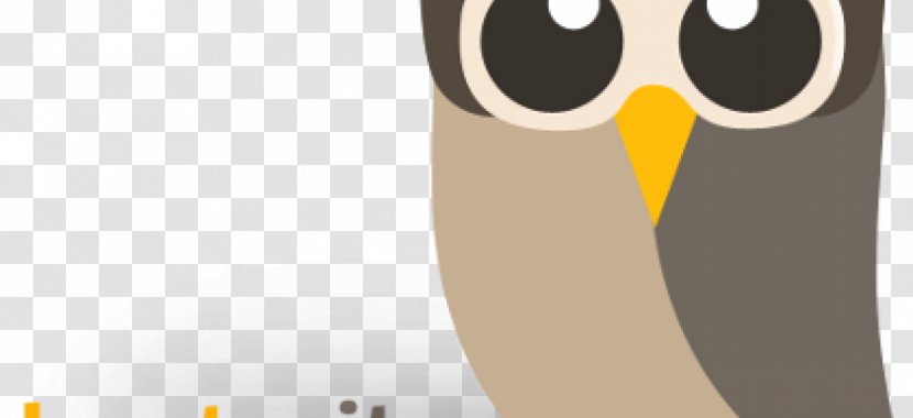Owl @hootsuite Social Networking Service Facebook - Bird Transparent PNG