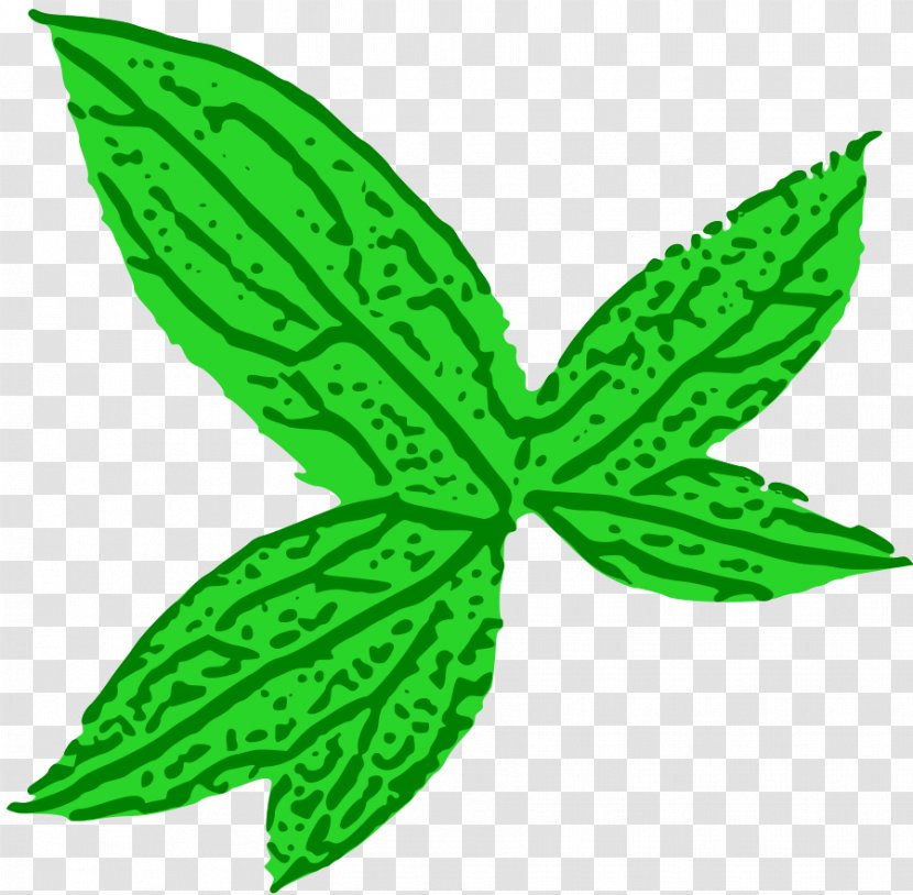 Leaf Clip Art - Plant Stem Transparent PNG