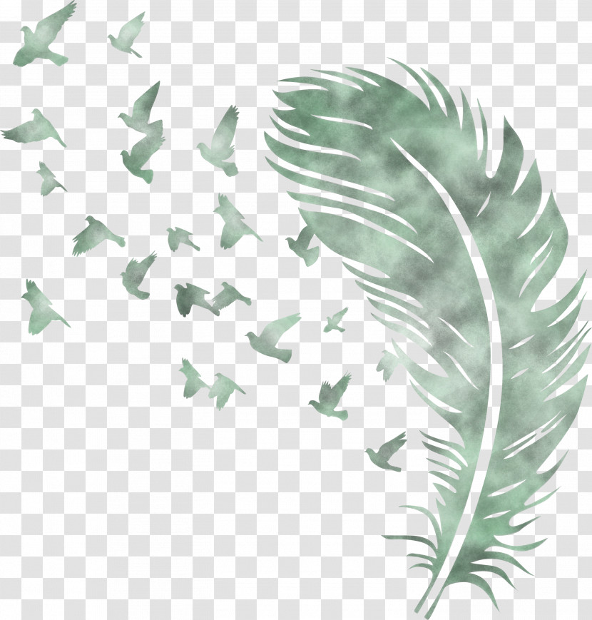 Bird Feather Transparent PNG