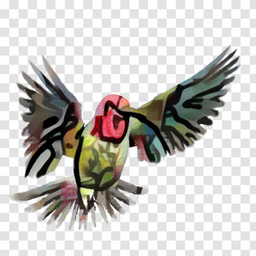 Bird Wing - Beak - Perching Hummingbird Transparent PNG