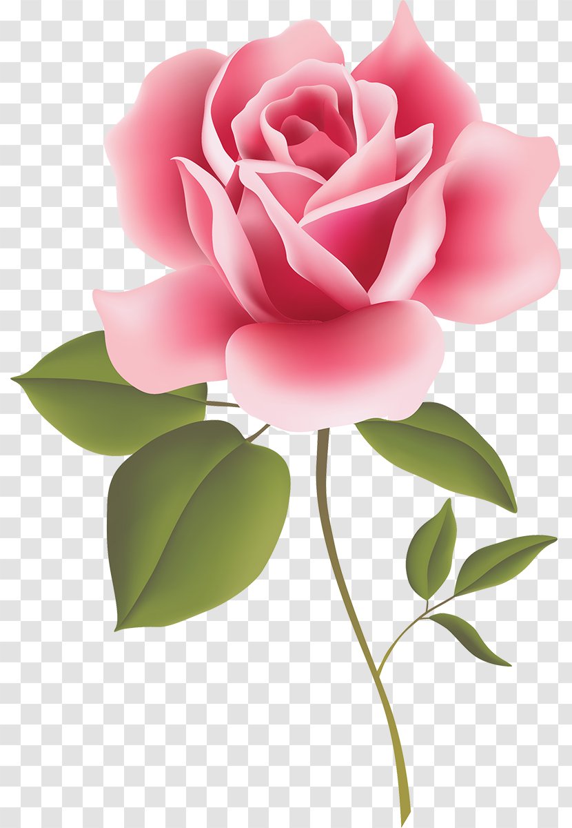 Clip Art Rose Floral Design Flower - Painting Transparent PNG