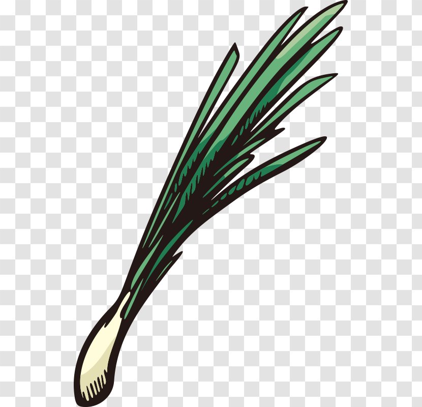 Vegetable Scallion Onion Fruit - Allium Fistulosum - Hand Painted,Stick Figure,Fruits And Vegetables,vegetables,Fruits Vegetables,Cartoon Transparent PNG