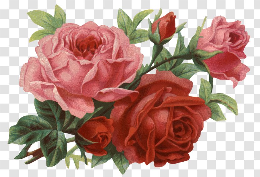 Rose Flower Clip Art - Floral Design - Retro Transparent PNG