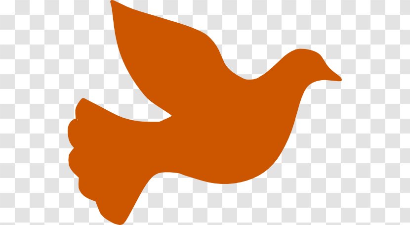 Columbidae Peace Symbols Clip Art - Royaltyfree - Water Bird Transparent PNG