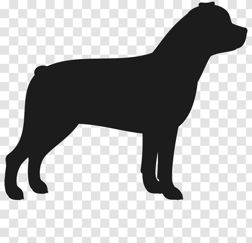 Beagle Golden Retriever American Bulldog Rottweiler Transparent PNG