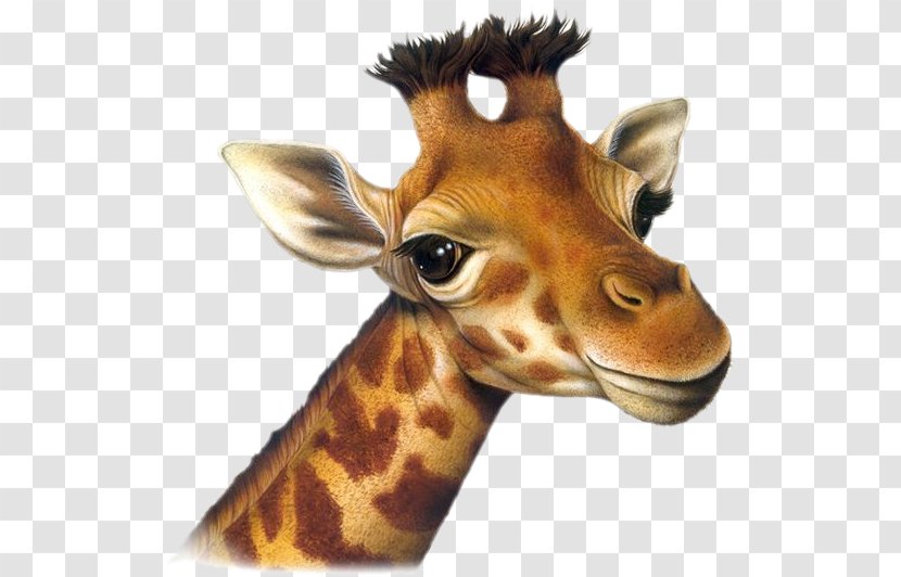 Watercolor Animal - Northern Giraffe - Fawn Figure Transparent PNG