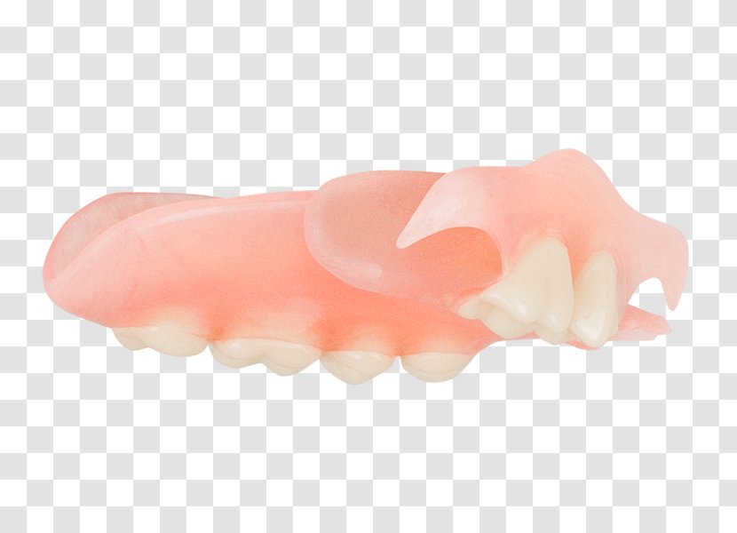 Pink M Jaw - Petal - Aspen Dental Transparent PNG