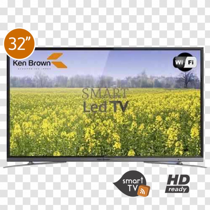 Smart TV LED-backlit LCD 1080p Display Device High-definition Television - Grass - Tv Transparent PNG